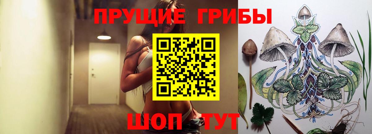 Псилоцибиновые грибы мицелий  Вход с VPN  Протвино  Псилоцибиновые грибы прущие грибы 